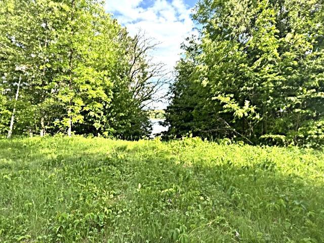 23506 Bazanis Road Cohasset, MN 55721 - Photo 11 of 15