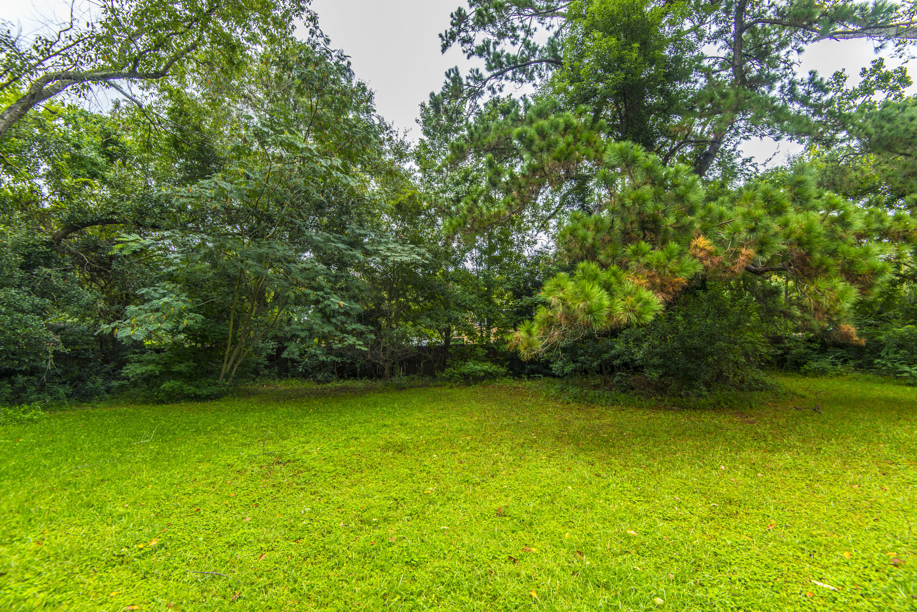 853 Waterloo Street Charleston, SC 29412 - Photo 5 of 20 _DSC5056
