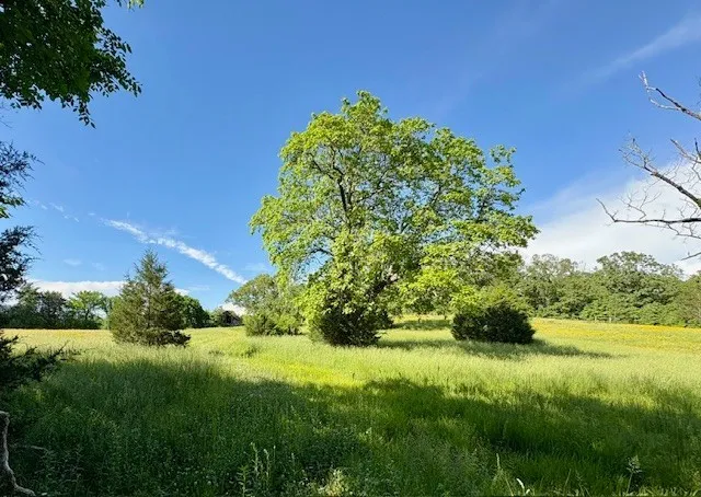 $1,200,000 | 1012 Topsy Store Road, Waynesboro, TN 38485