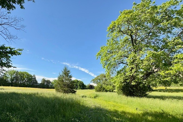 1012 Topsy Store Road Waynesboro, TN 38485 - Photo 4 of 7