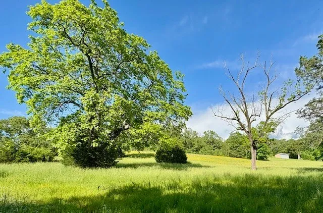 $1,200,000 | 1012 Topsy Store Road, Waynesboro, TN 38485