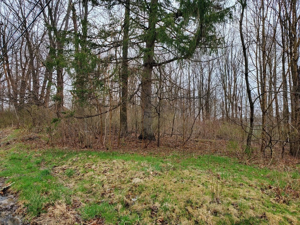 57 Main Street Wales, MA 01081 - Photo 24 of 26