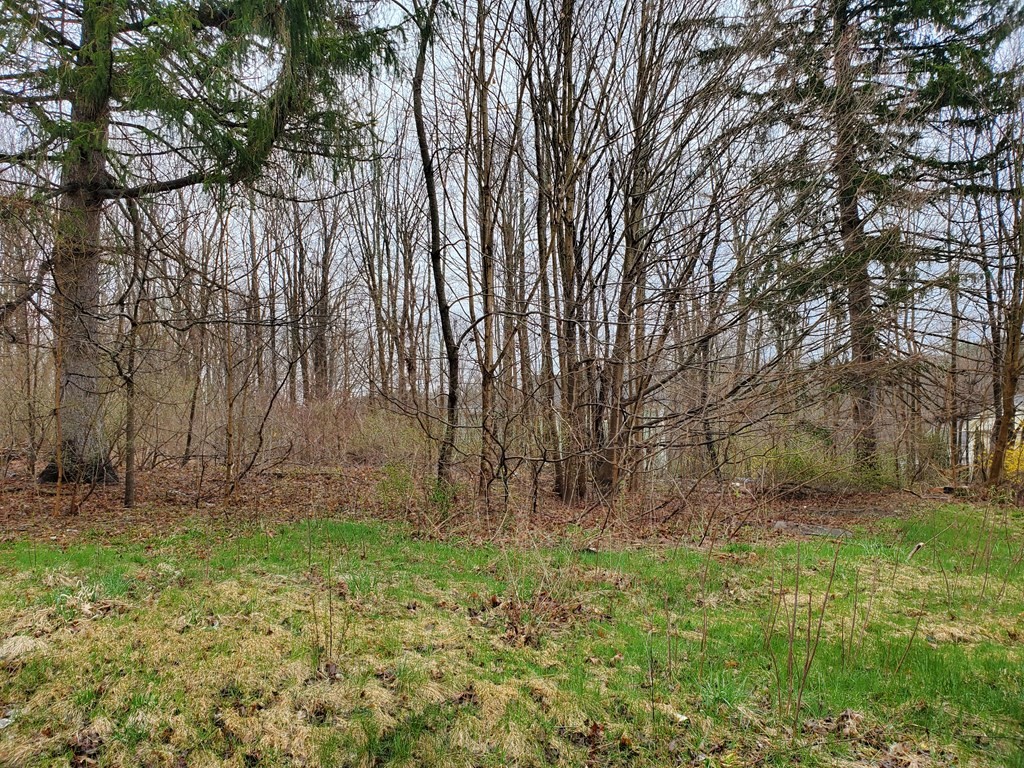 57 Main Street Wales, MA 01081 - Photo 8 of 26