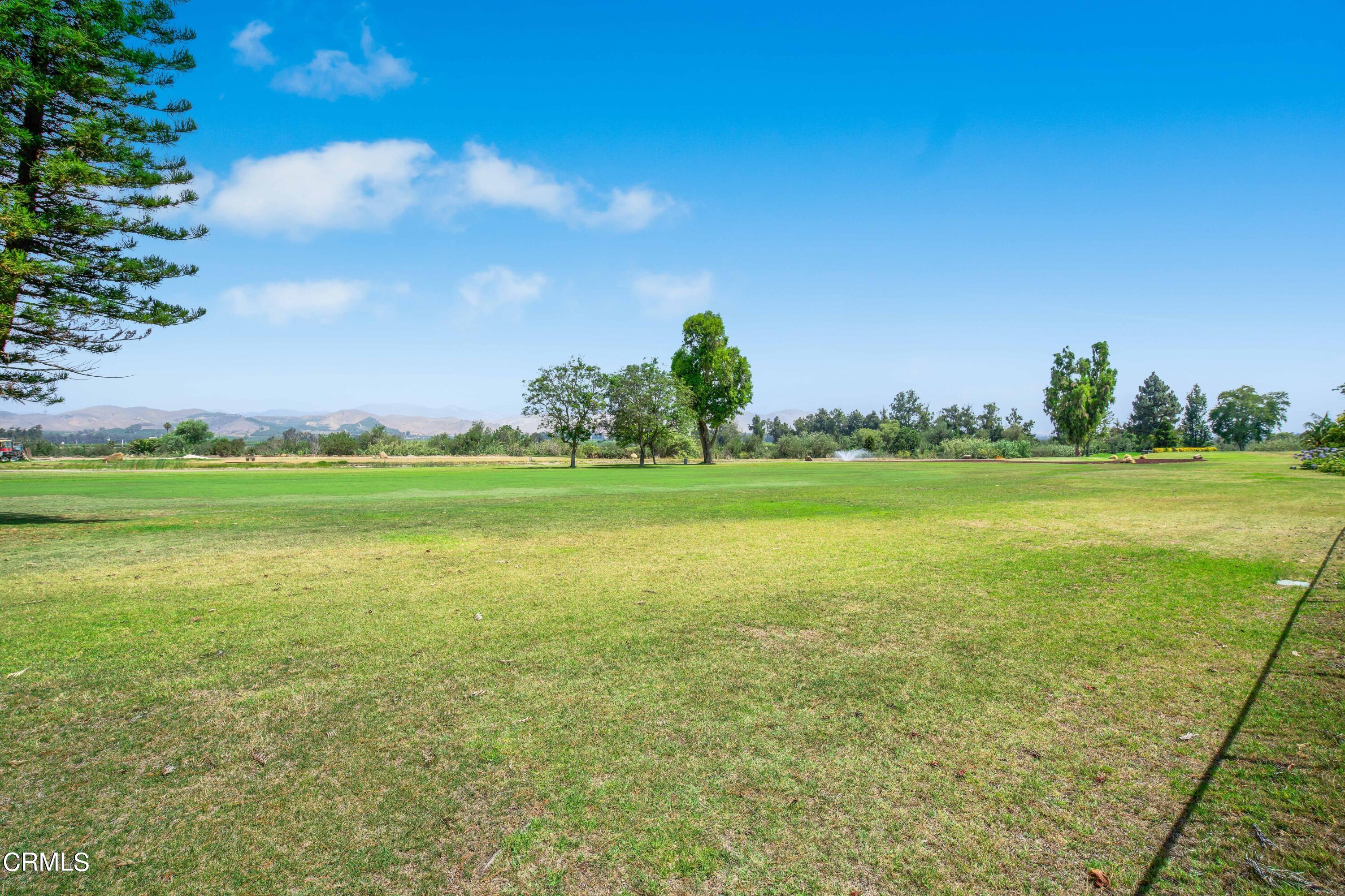 1387 Fairway Drive Camarillo, CA 93010 - Photo 49 of 51 a view of a big yard with a large trees