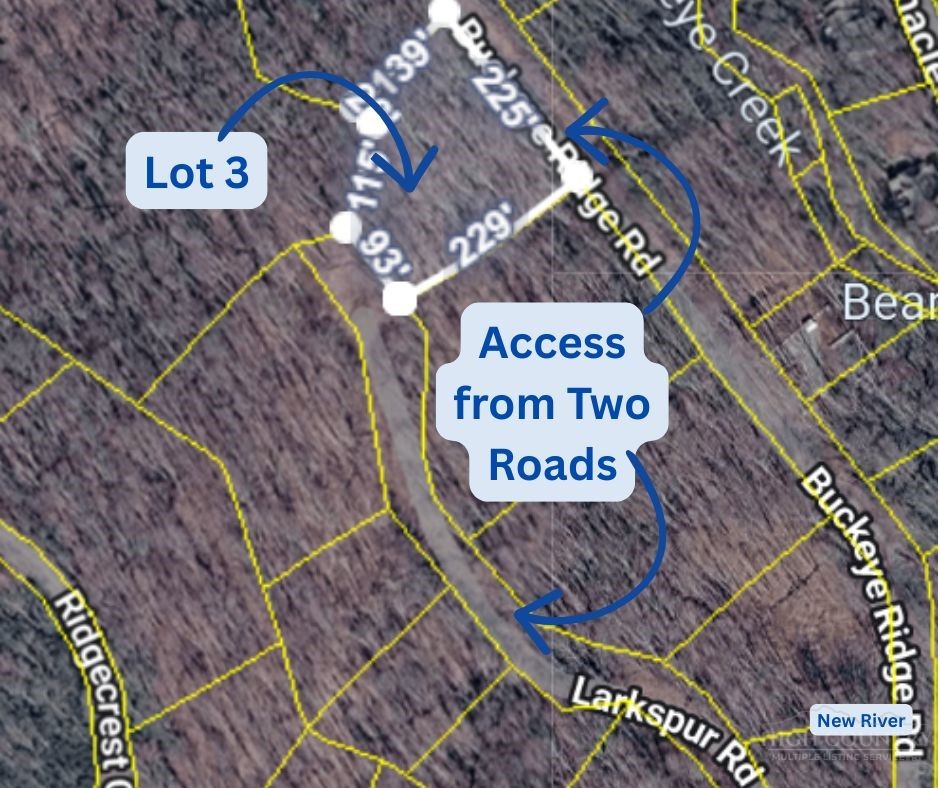 Lot 3 Buckeye Ridge Road Beech Mountain, NC 28604 - Photo 2 of 6 a sign on a street