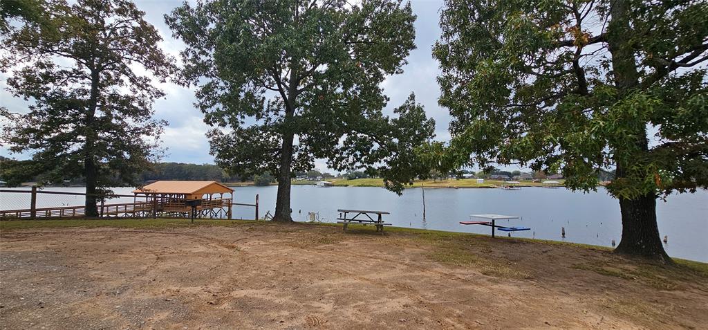 434 Geronimo Quitman, TX 75783 - Photo 34 of 36 a backyard of a house with table and chairs and a large tree