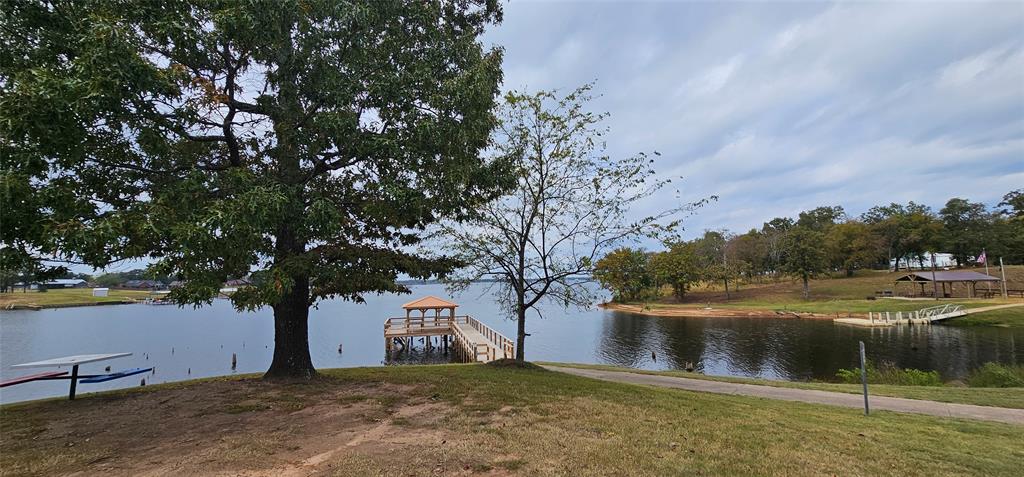 434 Geronimo Quitman, TX 75783 - Photo 35 of 36 a view of lake with a yard