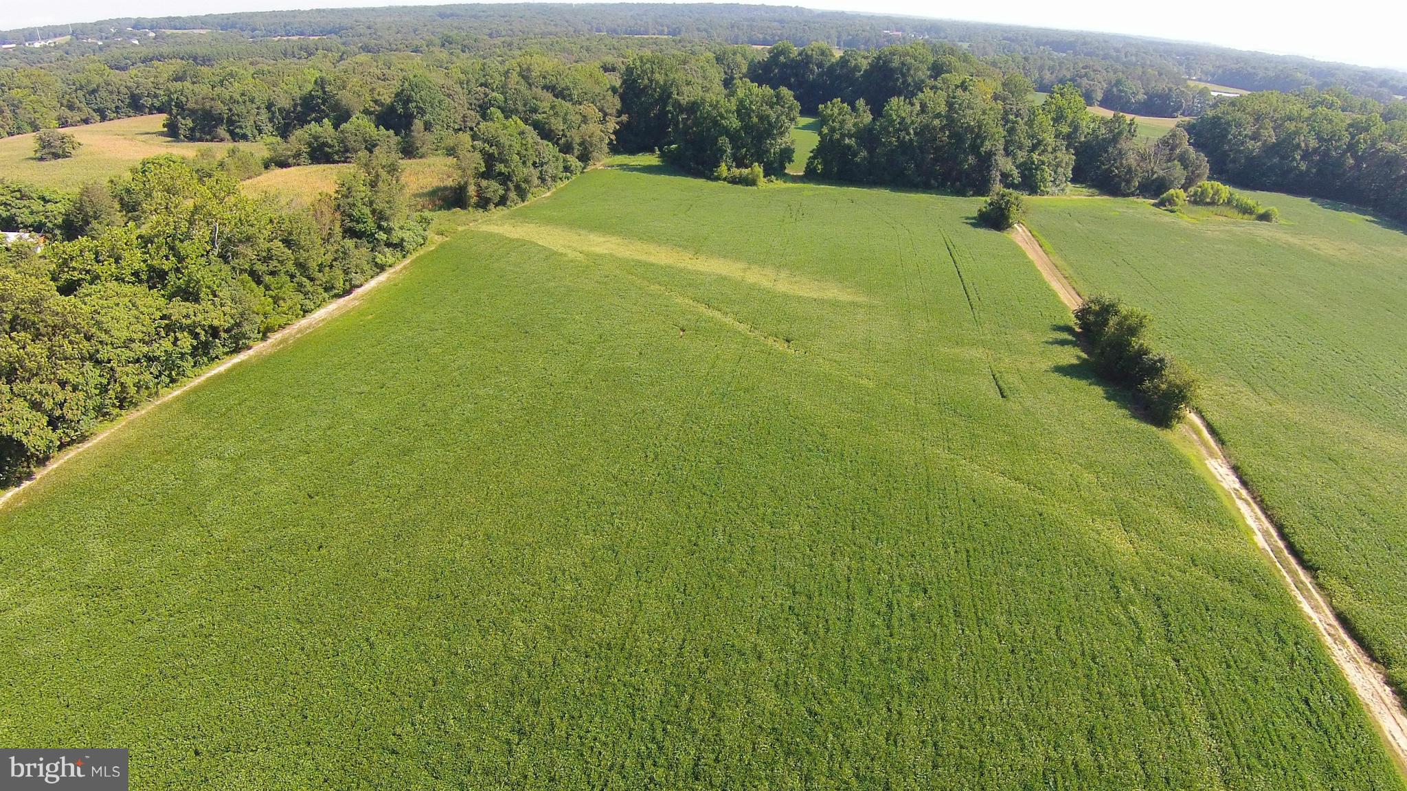 2071 Lowery Road Huntingtown, MD 20639 - Photo 16 of 27 a view of a field with an ocean