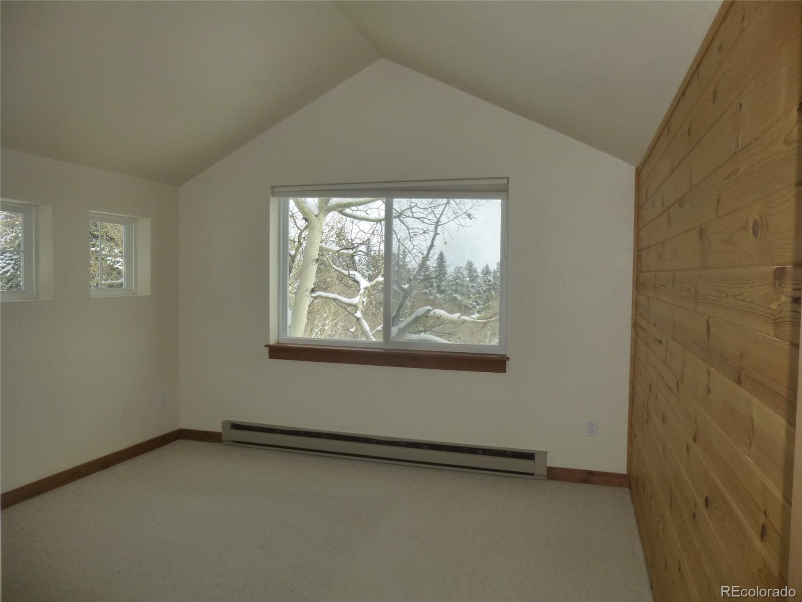 331 Lamb Mountain Road Fairplay, CO 80440 - Photo 13 of 23 Gallery Image 13