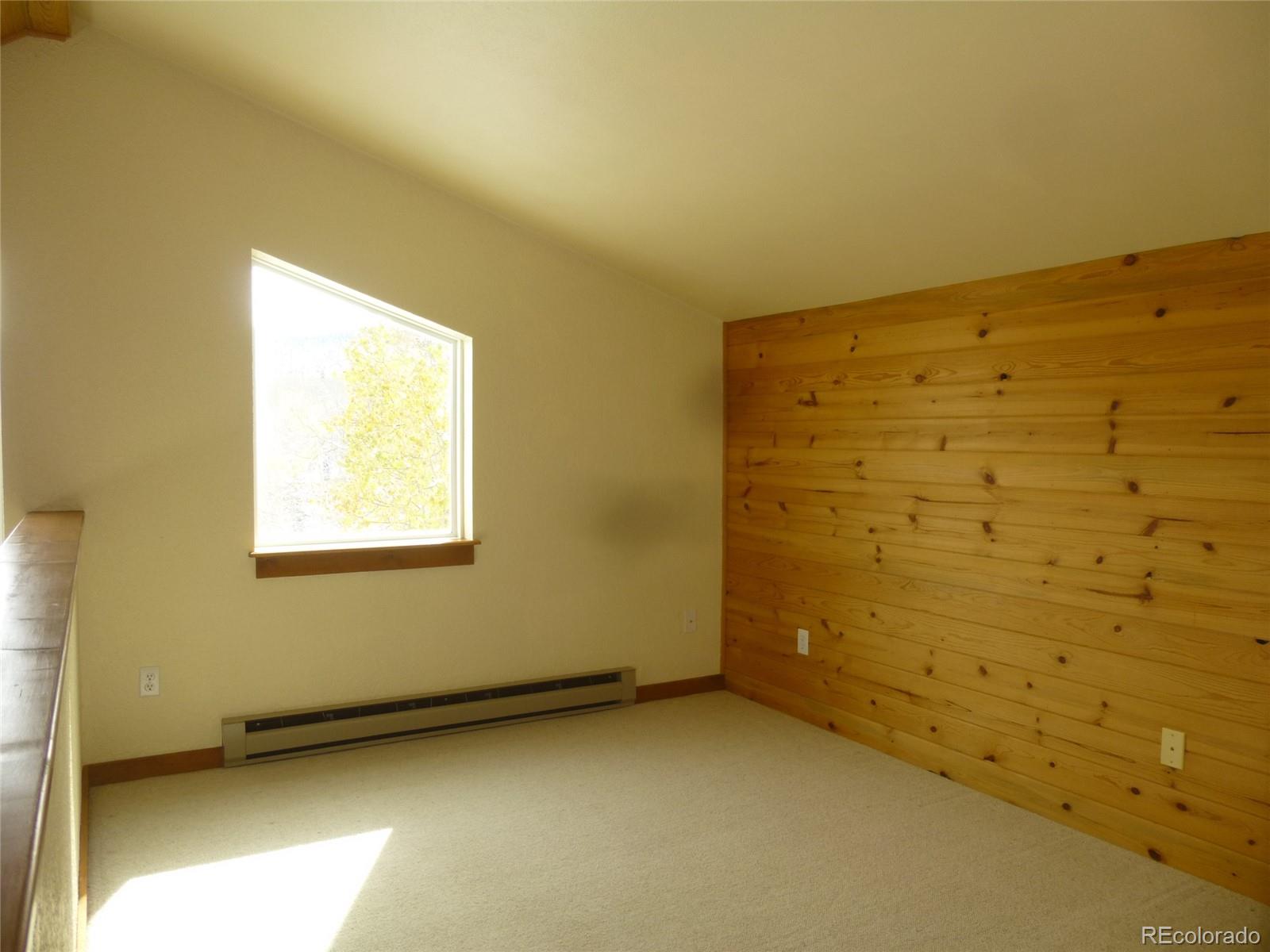 331 Lamb Mountain Road Fairplay, CO 80440 - Photo 14 of 23 Gallery Image 14