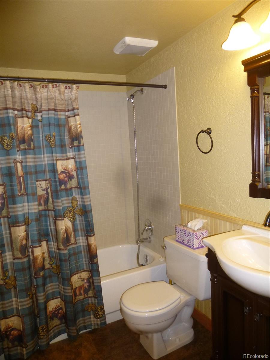 331 Lamb Mountain Road Fairplay, CO 80440 - Photo 20 of 23 Gallery Image 20