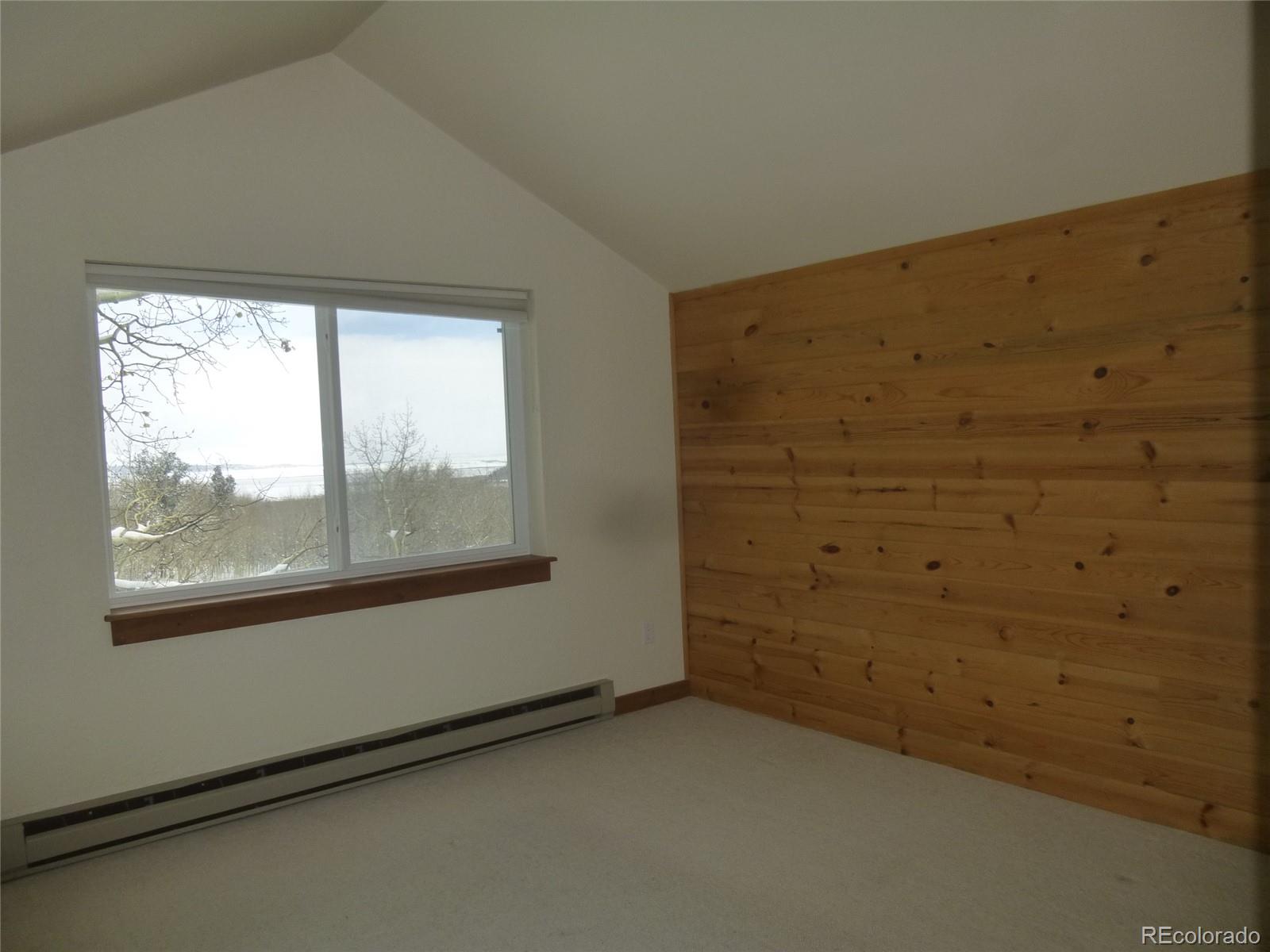 331 Lamb Mountain Road Fairplay, CO 80440 - Photo 21 of 23 Gallery Image 21