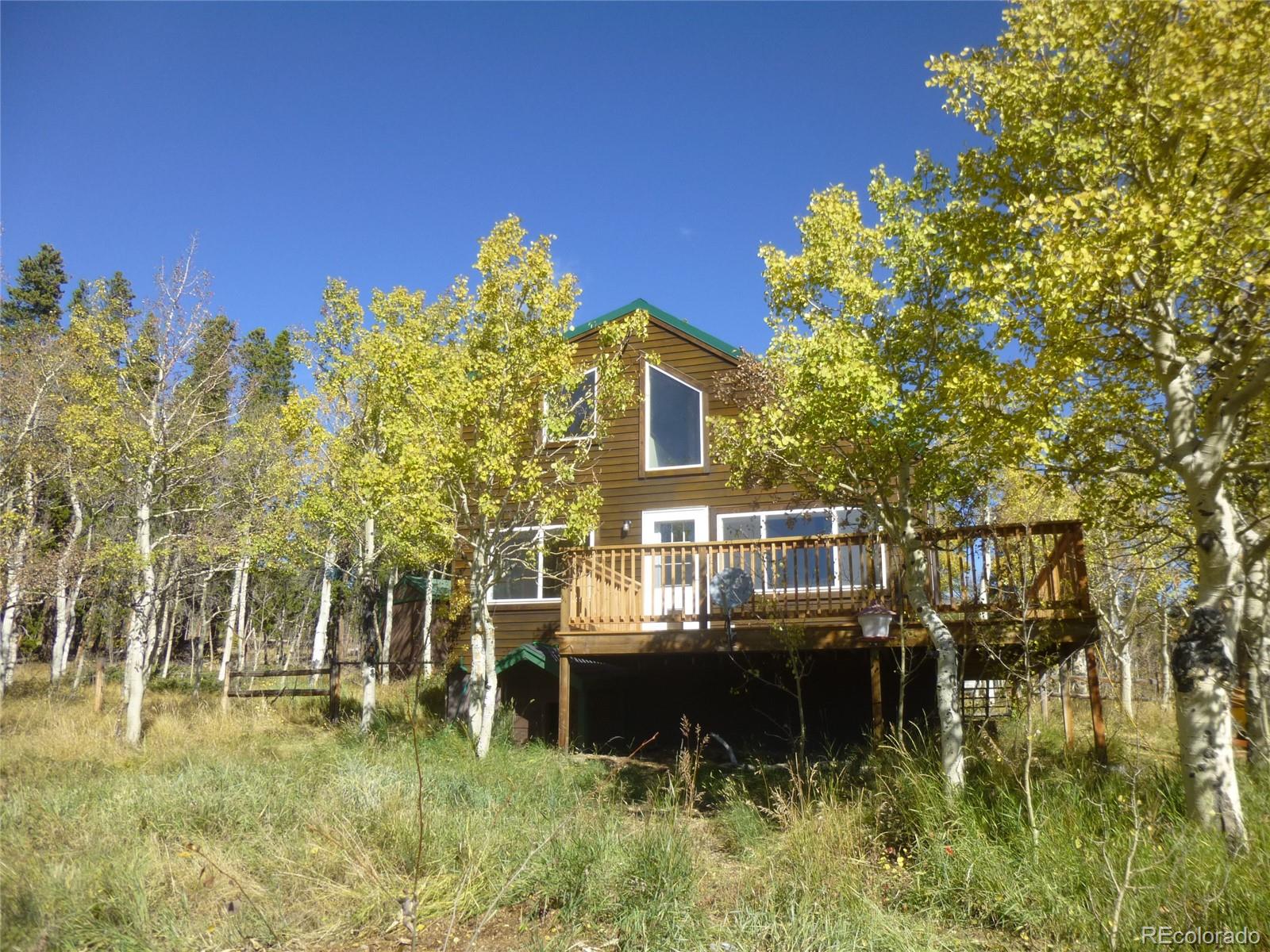 331 Lamb Mountain Road Fairplay, CO 80440 - Photo 4 of 23 Gallery Image 4