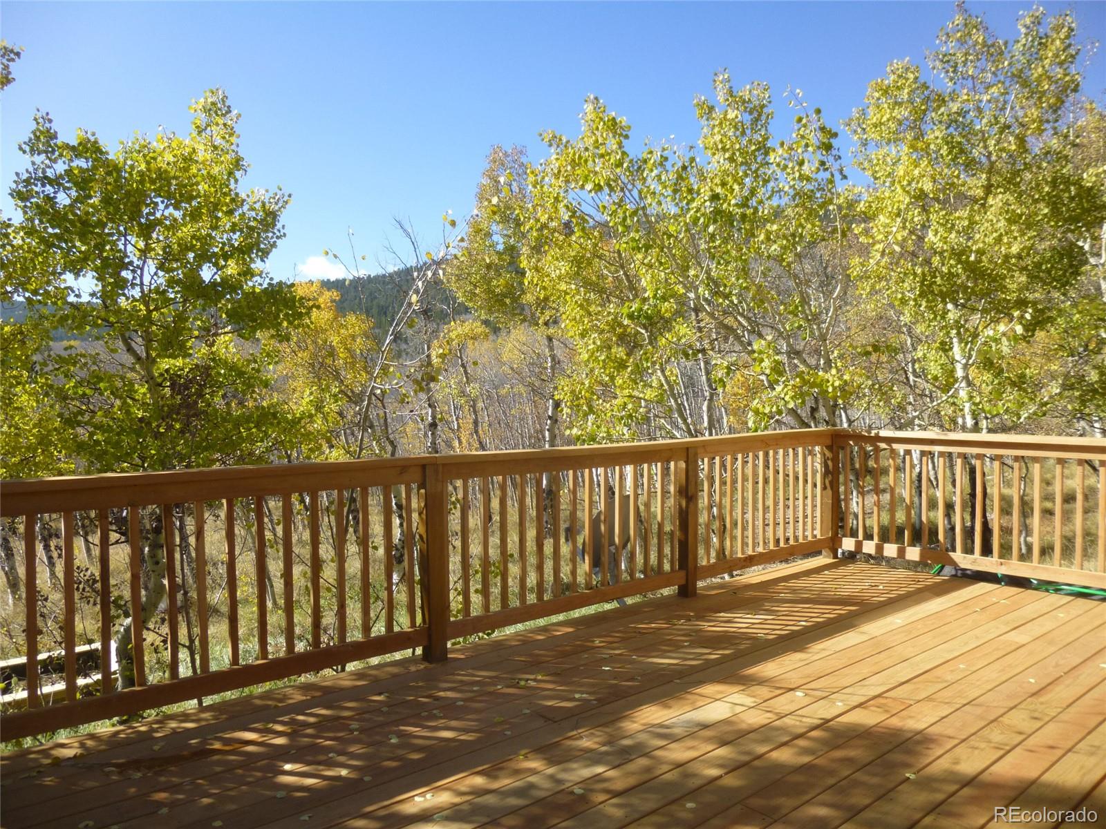 331 Lamb Mountain Road Fairplay, CO 80440 - Photo 6 of 23 Gallery Image 6
