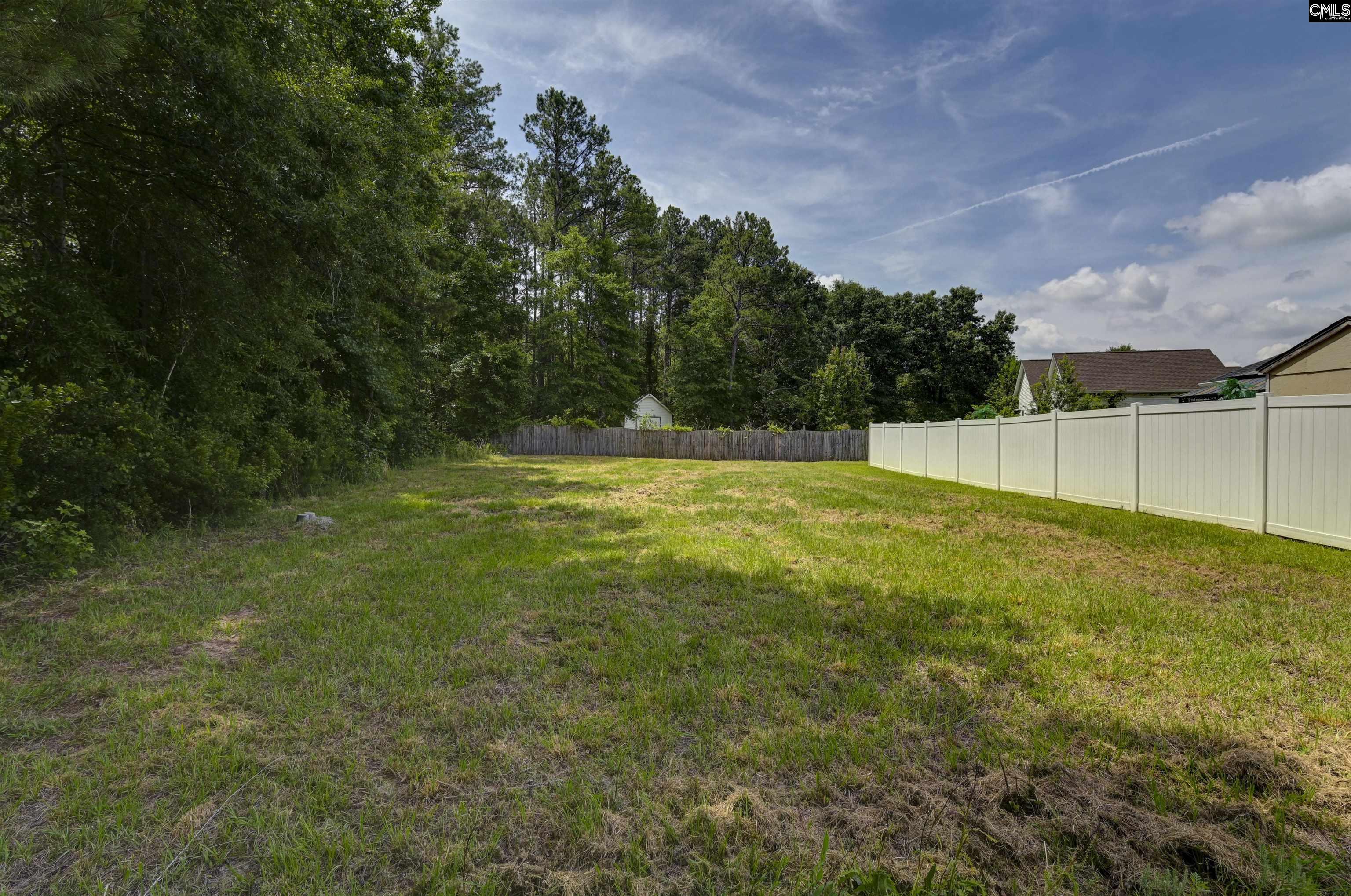 46 Rambling Drive Elgin, SC 29045 - Photo 27 of 29