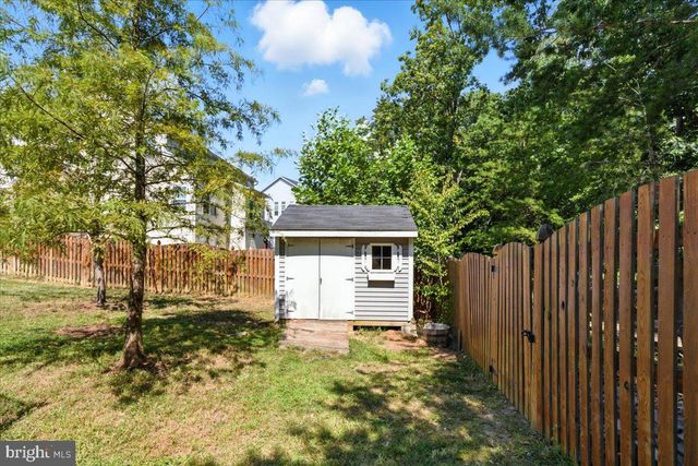 a view of a forest filled with trees