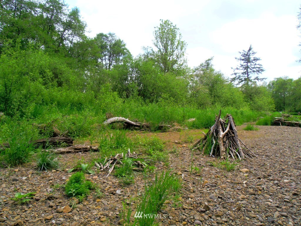 1233 North Fork Road Chehalis, WA 98532 - Photo 4 of 11 a view of a park