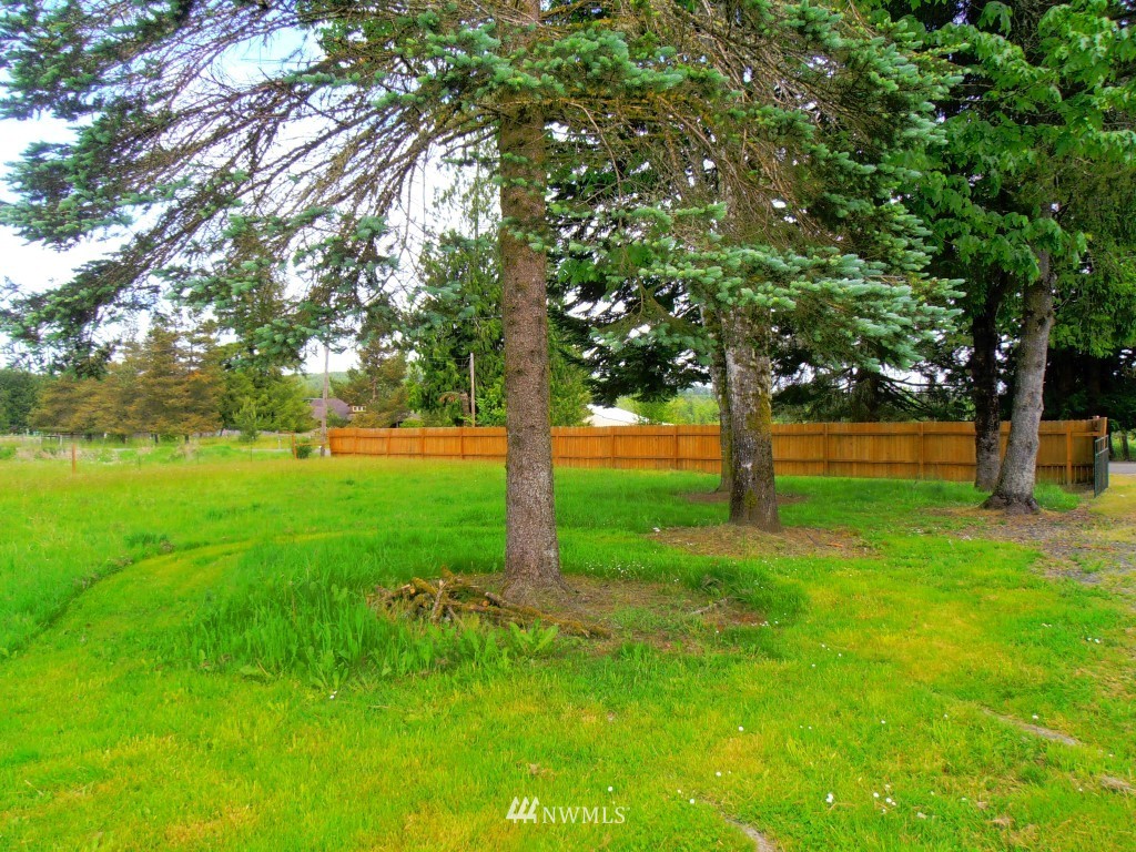 1233 North Fork Road Chehalis, WA 98532 - Photo 10 of 11 a view of green field with trees in the background