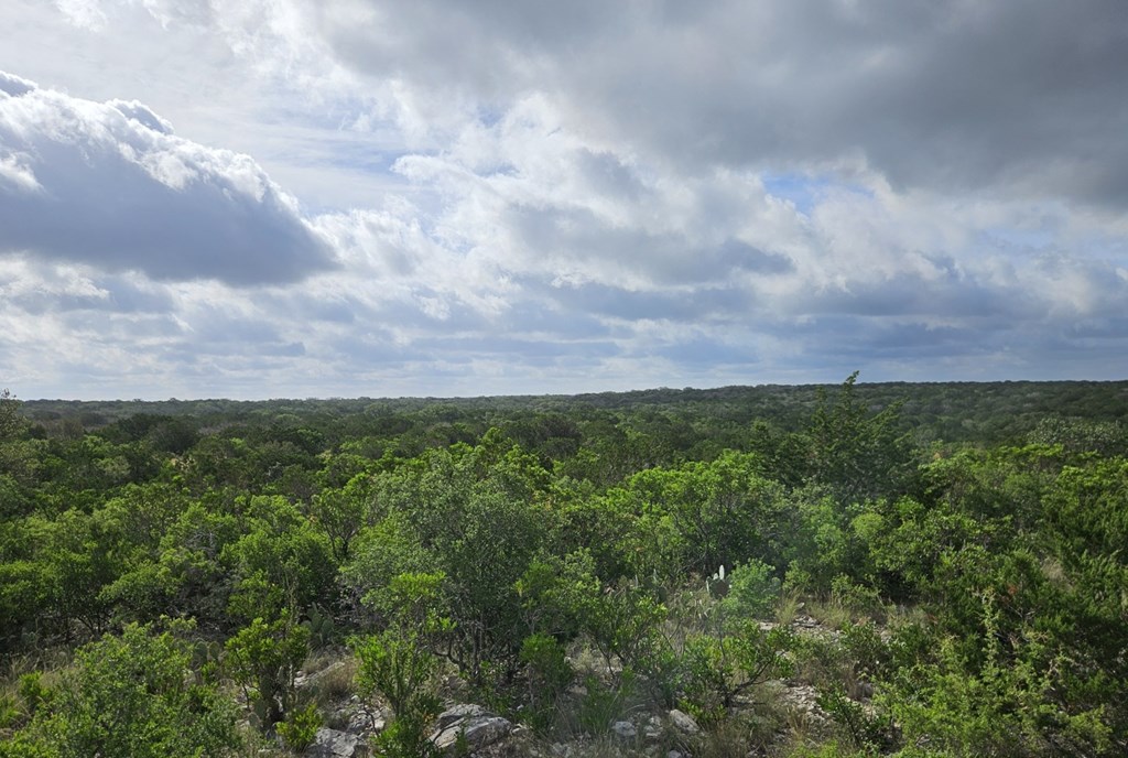 0 J S Murry Ranch Road Del Rio, TX 78840 - Photo 16 of 38