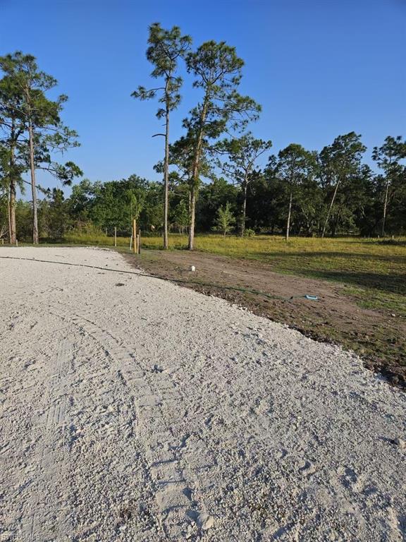 1375 Ash Road Northwest LaBelle, FL 33935 - Photo 5 of 26 Gravel-covered ground surface with a tree-lined perimeter
