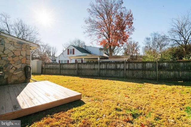 a view of a backyard with a large tree