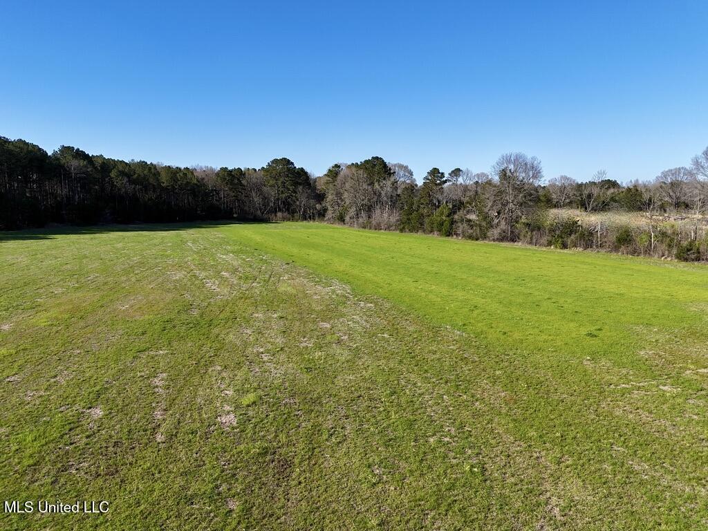 30 Stump Bridge Road Canton, MS 39046 - Photo 11 of 29 68540193-BAF1-4DF4-9577-5082255B4C02_1_1