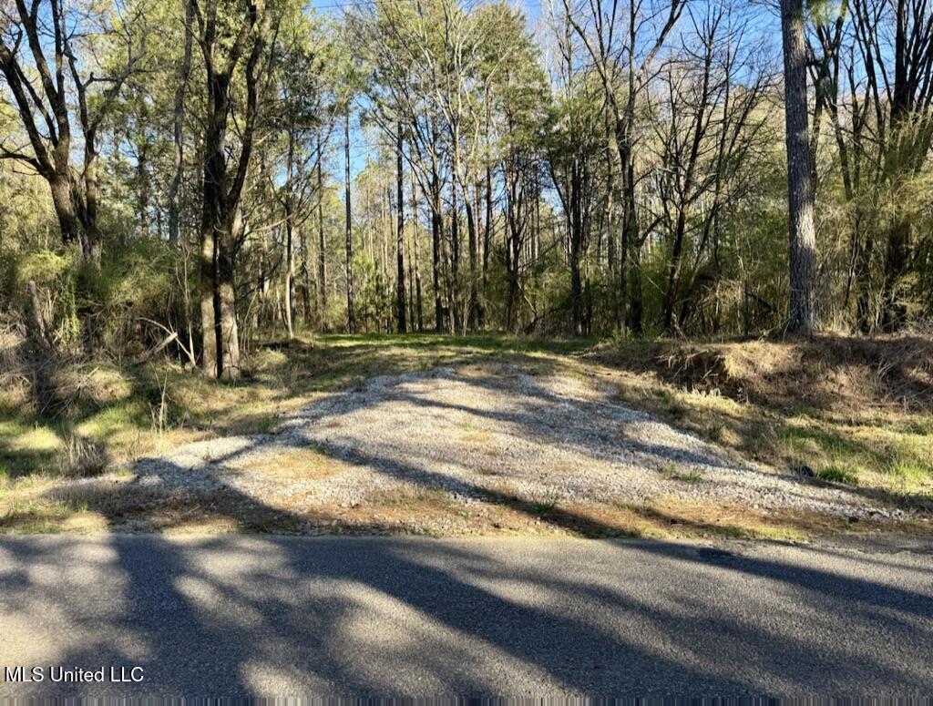 30 Stump Bridge Road Canton, MS 39046 - Photo 23 of 29 AD0CB1EB-89BF-483F-B264-FFD92333A775_1_1