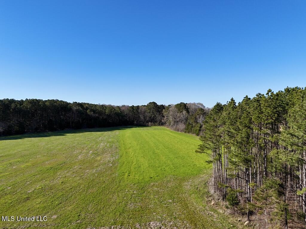 30 Stump Bridge Road Canton, MS 39046 - Photo 29 of 29 7201B6BE-76DC-4712-B979-5A743A73276E_1_1