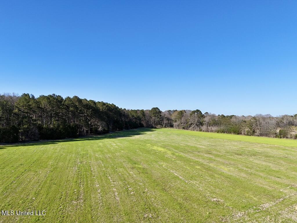 30 Stump Bridge Road Canton, MS 39046 - Photo 4 of 29 649523CF-2557-4792-BE78-F4727BE183C7_1_1