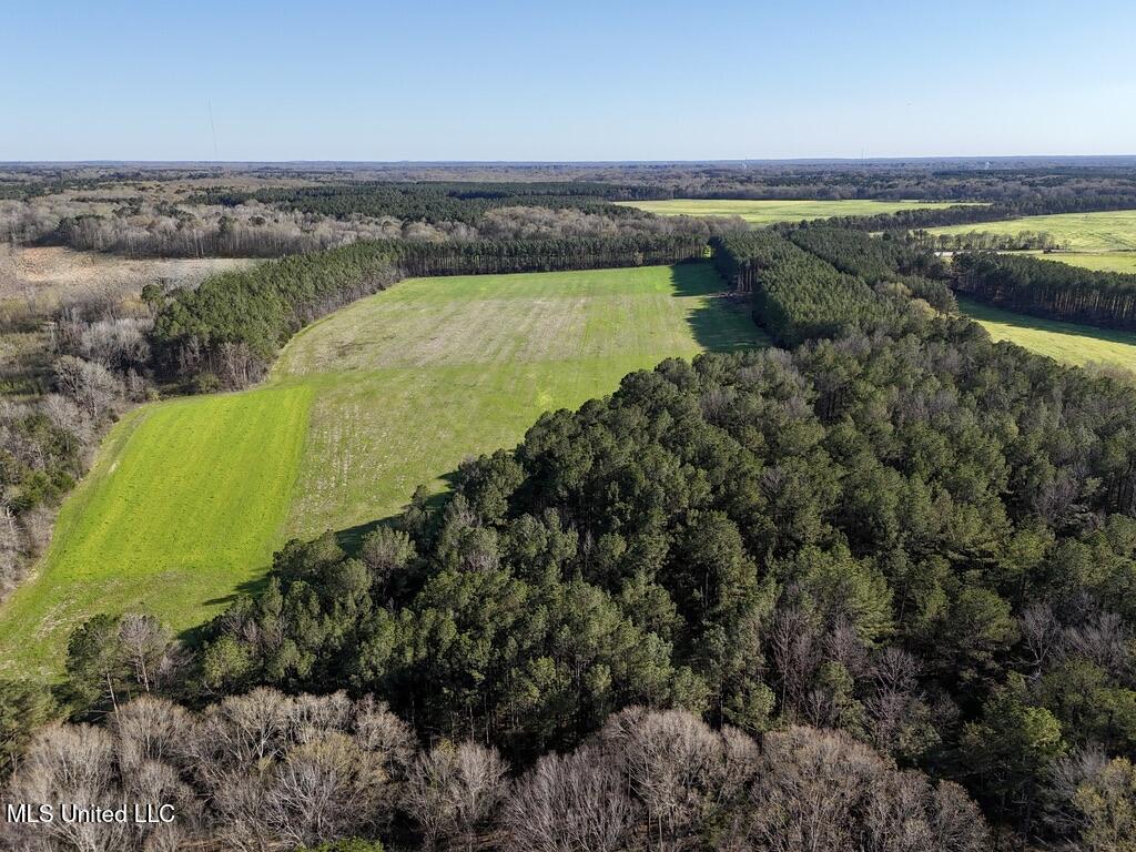 30 Stump Bridge Road Canton, MS 39046 - Photo 5 of 29 D5E5D389-C031-43FC-B6CF-51A9D01D144C_1_1