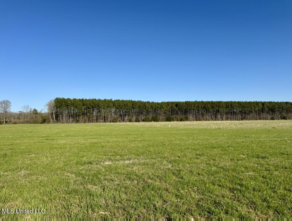 30 Stump Bridge Road Canton, MS 39046 - Photo 8 of 29 F05BB377-367E-45DA-8AE9-F6DEA3482A4D_1_1
