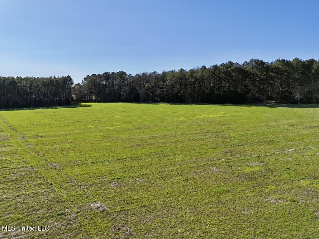 30 Stump Bridge Road Canton, MS 39046 - Photo 10 of 29 BED02733-D660-48D1-9171-5F02C488978B_1_1