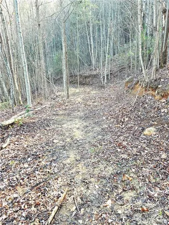 $115,000 | Tbd Eagle Hills Road, Unit EAGLE HILLS, Purlear, NC 28665