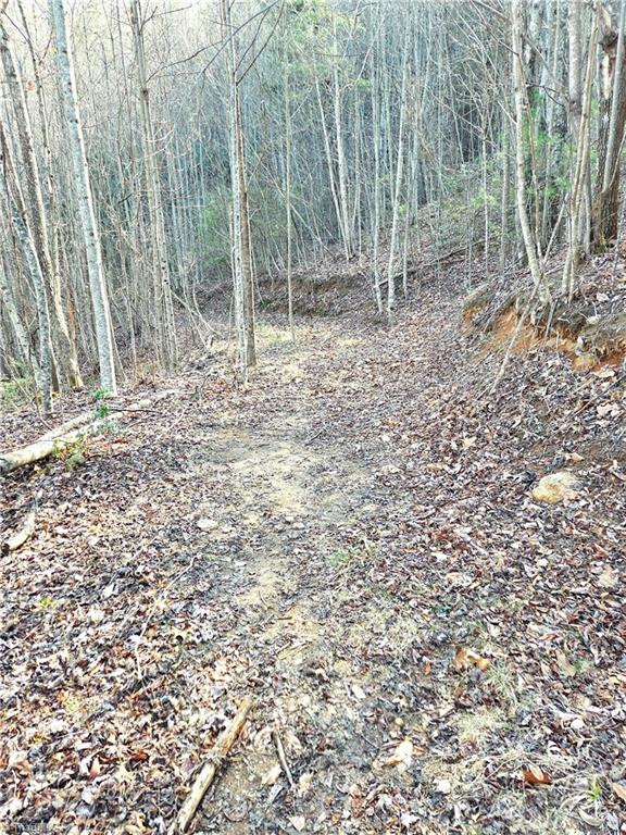 Tbd Eagle Hills Road, Unit EAGLE HILLS Purlear, NC 28665 - Photo 11 of 20 Numerous old logging roads through out property.
