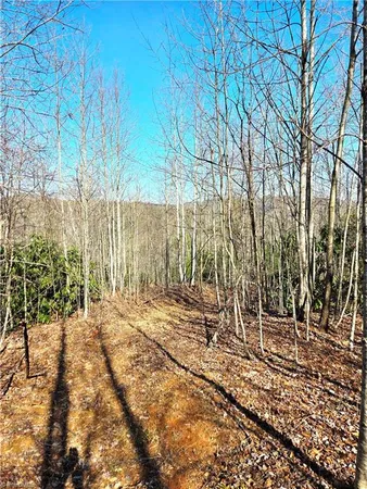 $115,000 | Tbd Eagle Hills Road, Unit EAGLE HILLS, Purlear, NC 28665