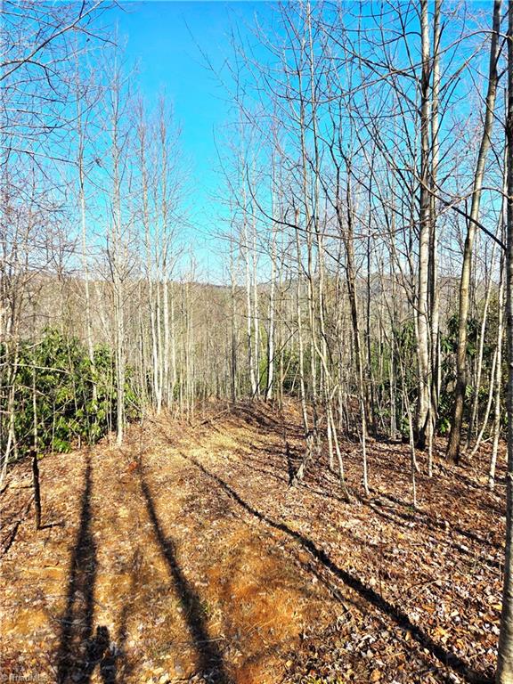 Tbd Eagle Hills Road, Unit EAGLE HILLS Purlear, NC 28665 - Photo 12 of 20