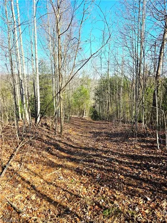 $115,000 | Tbd Eagle Hills Road, Unit EAGLE HILLS, Purlear, NC 28665