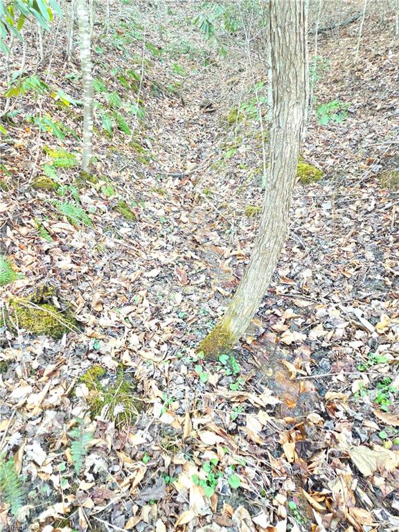 Tbd Eagle Hills Road, Unit EAGLE HILLS Purlear, NC 28665 - Photo 14 of 20 Several springs on the property