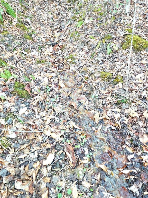 Tbd Eagle Hills Road, Unit EAGLE HILLS Purlear, NC 28665 - Photo 15 of 20