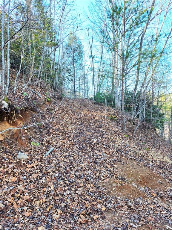 Tbd Eagle Hills Road, Unit EAGLE HILLS Purlear, NC 28665 - Photo 16 of 20