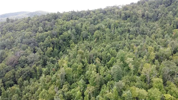 $115,000 | Tbd Eagle Hills Road, Unit EAGLE HILLS, Purlear, NC 28665