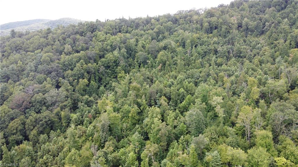 Tbd Eagle Hills Road, Unit EAGLE HILLS Purlear, NC 28665 - Photo 2 of 20