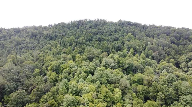 $115,000 | Tbd Eagle Hills Road, Unit EAGLE HILLS, Purlear, NC 28665