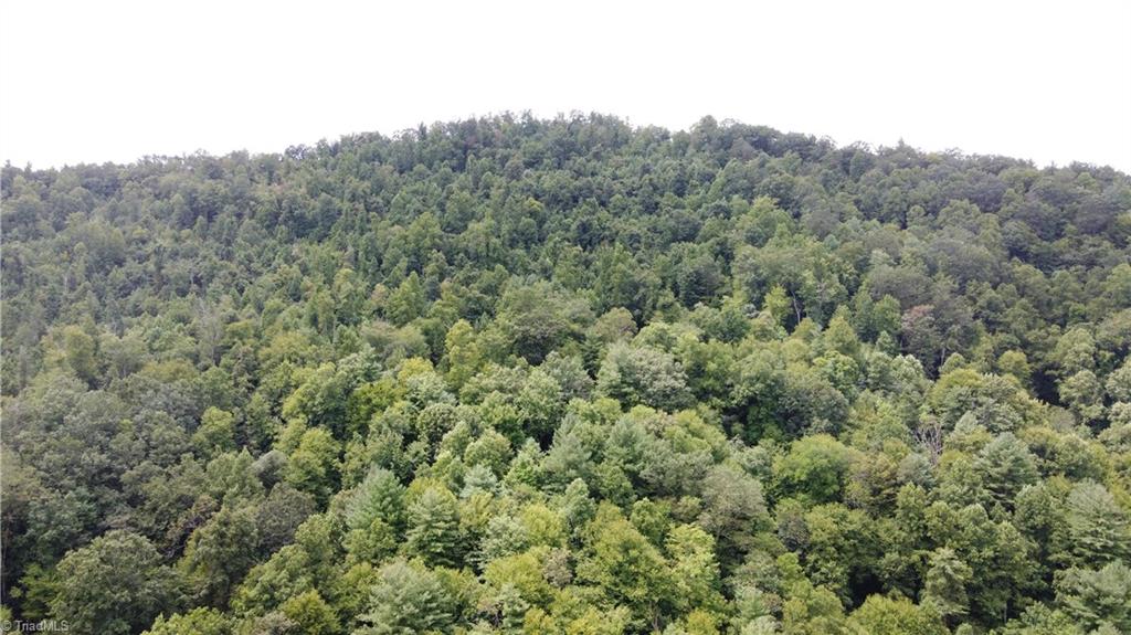 Tbd Eagle Hills Road, Unit EAGLE HILLS Purlear, NC 28665 - Photo 2 of 9