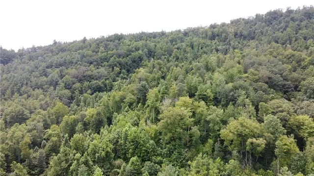 $115,000 | Tbd Eagle Hills Road, Unit EAGLE HILLS, Purlear, NC 28665