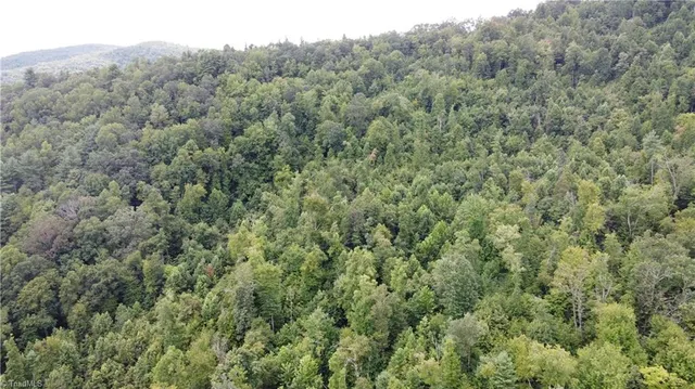 $115,000 | Tbd Eagle Hills Road, Unit EAGLE HILLS, Purlear, NC 28665