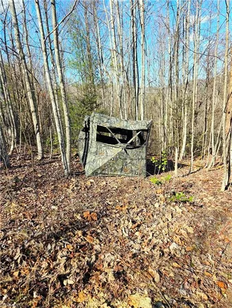 $115,000 | Tbd Eagle Hills Road, Unit EAGLE HILLS, Purlear, NC 28665