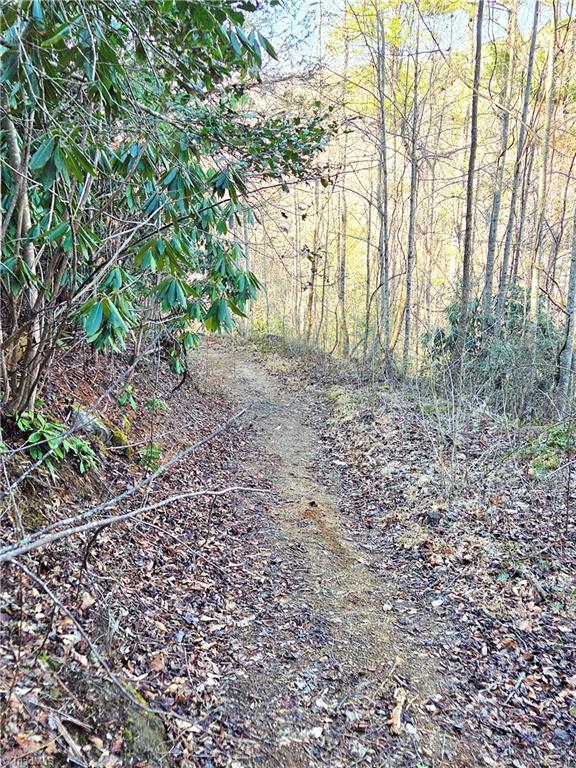 Tbd Eagle Hills Road, Unit EAGLE HILLS Purlear, NC 28665 - Photo 6 of 20