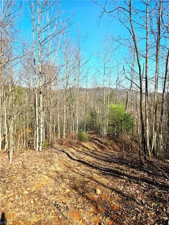 $115,000 | Tbd Eagle Hills Road, Unit EAGLE HILLS, Purlear, NC 28665