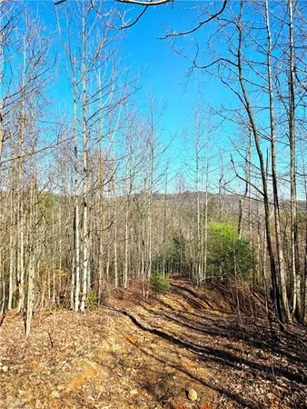 $115,000 | Tbd Eagle Hills Road, Unit EAGLE HILLS, Purlear, NC 28665